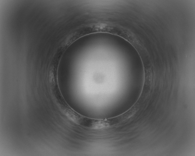 X0000073480754200607311200