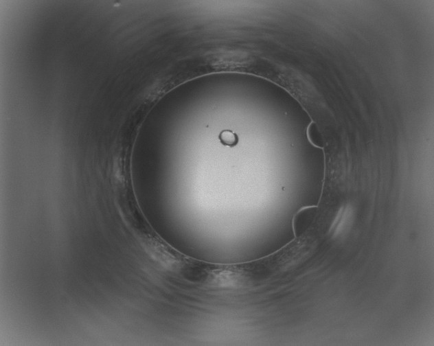 X0000073480755200607311200