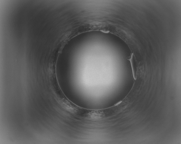 X0000073480756200607311200