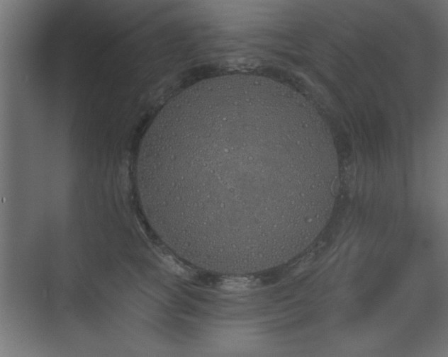 X0000073480757200607311200