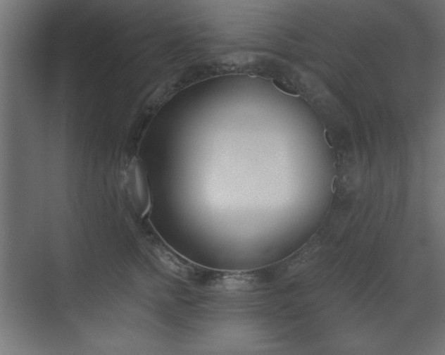 X0000073480758200607311200