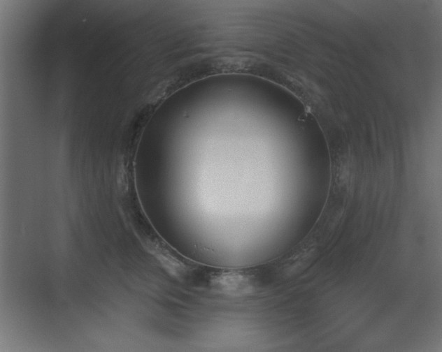 X0000073480759200607311200