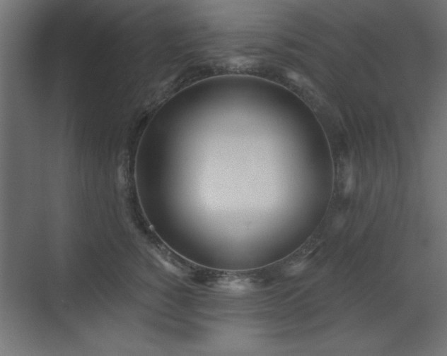 X0000073480760200607311200