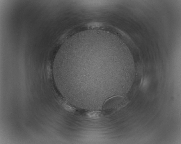 X0000073480761200607311200