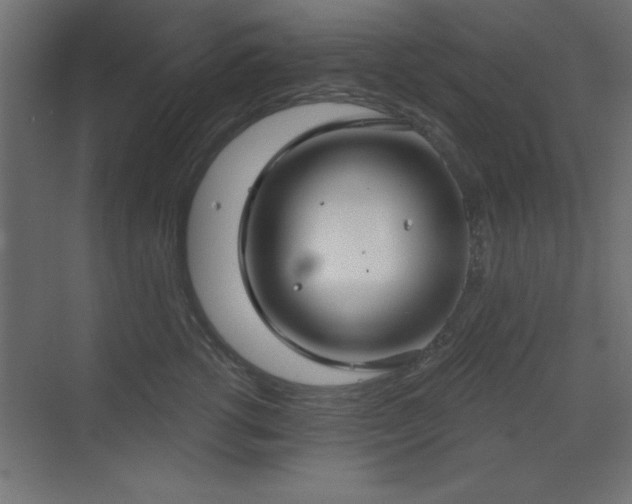 X0000073480762200607311200