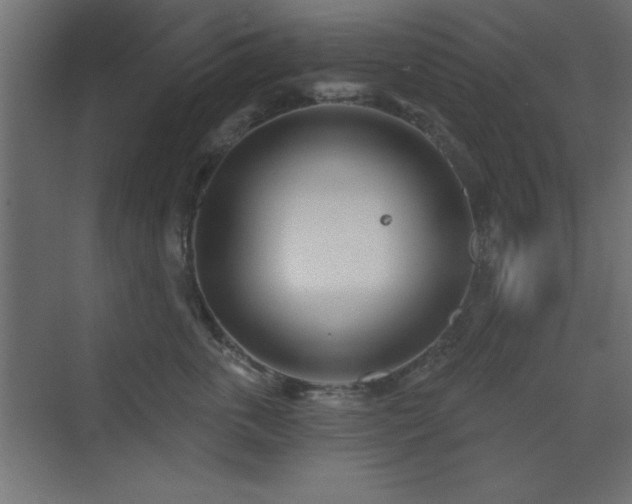 X0000073480763200607311200