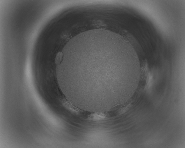 X0000073480765200607311200