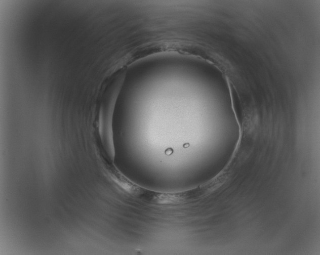 X0000073480766200607311200