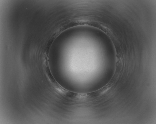 X0000073480767200607311200