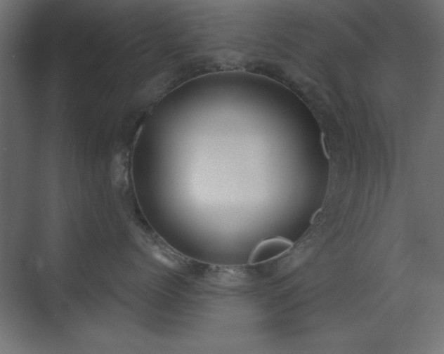 X0000073480768200607311200