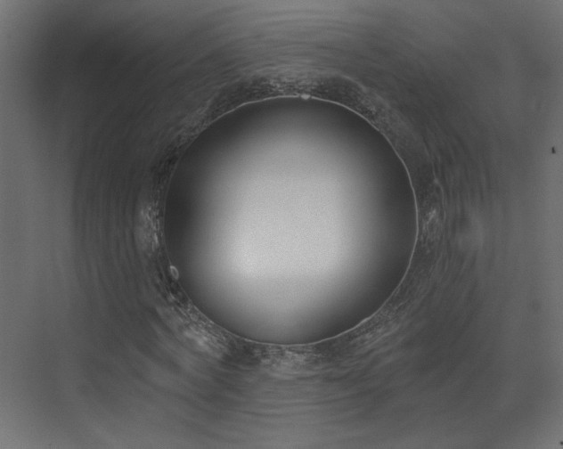 X0000073480772200607311159