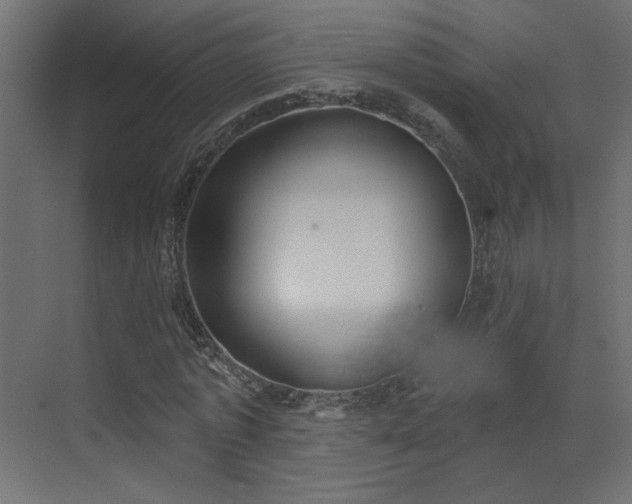 X0000073480773200607311159