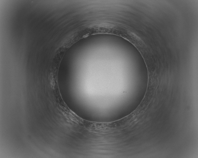 X0000073480774200607311159