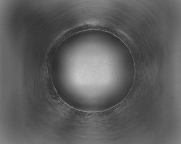 X0000073480776200607311159