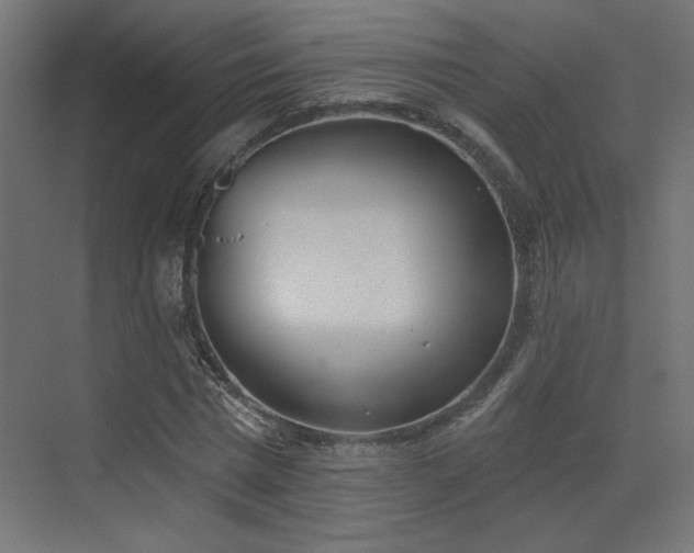 X0000073480777200607311159