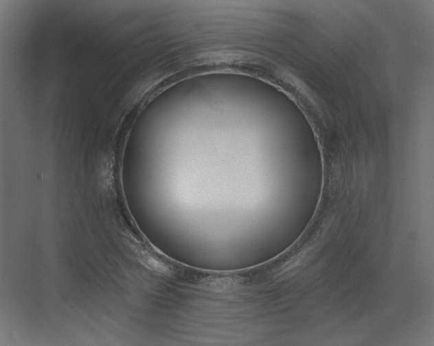 X0000073480778200607311159