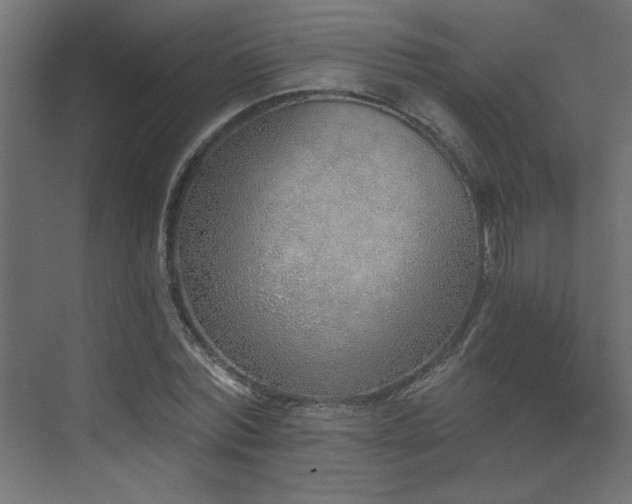 X0000073480780200607311159