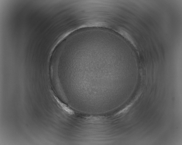 X0000073480781200607311159