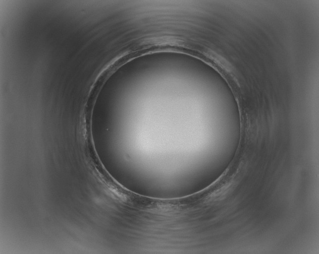 X0000073480782200607311159