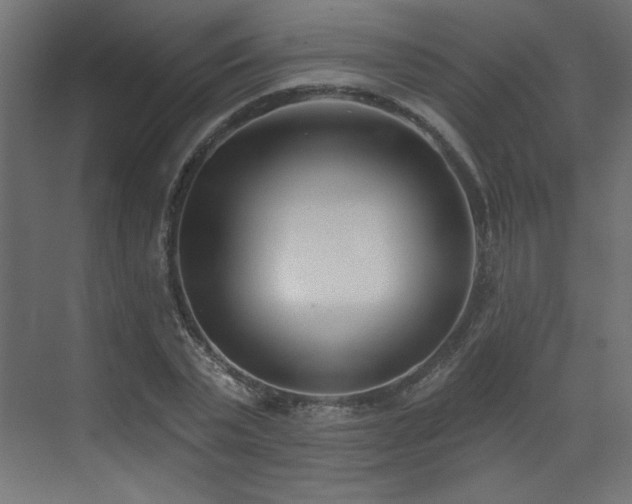 X0000073480783200607311159