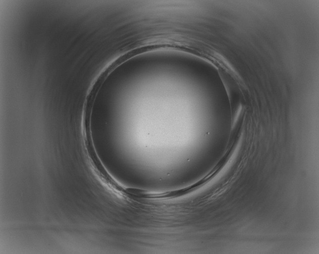 X0000073480788200607311159