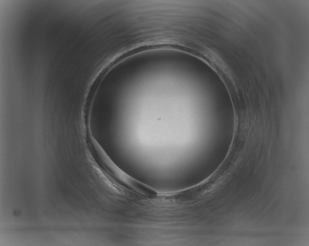 X0000073480789200607311159