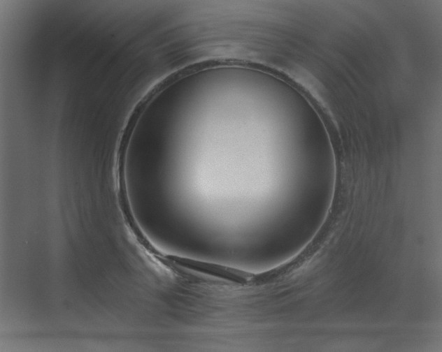 X0000073480791200607311159