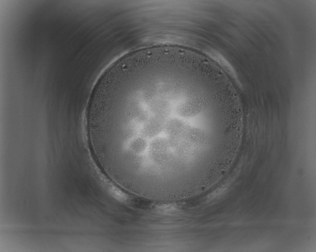 X0000073480798200607311159