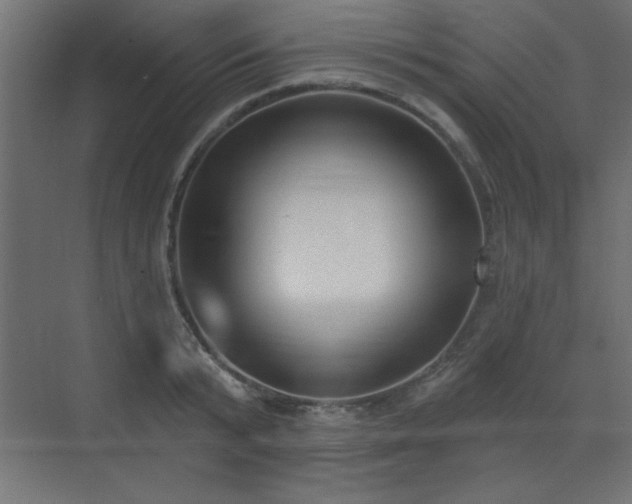 X0000073480799200607311159