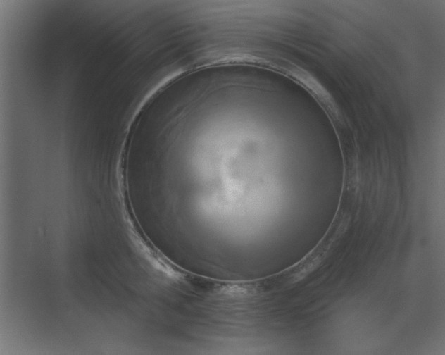 X0000073480806200607311159