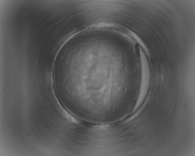 X0000073480810200607311159