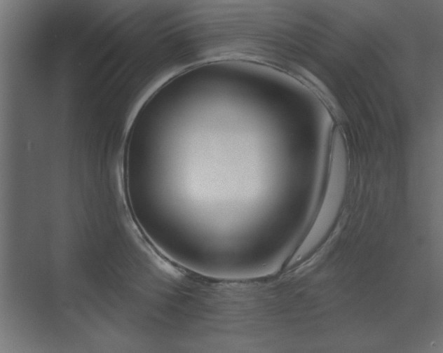 X0000073480812200607311159