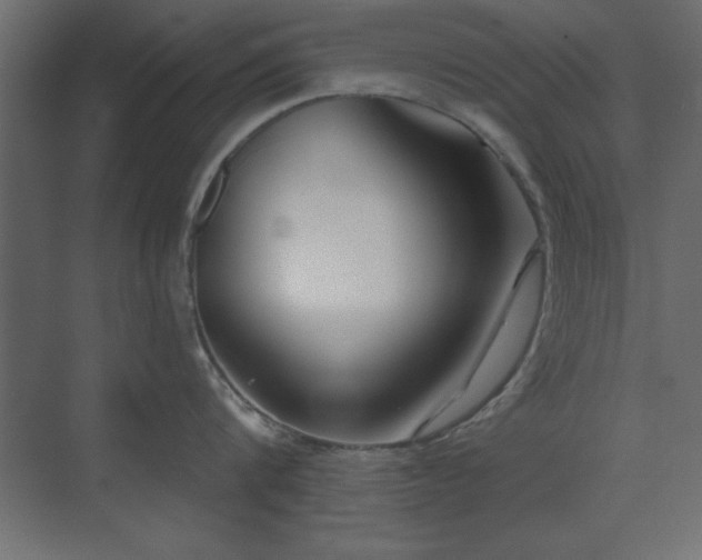 X0000073480816200607311159