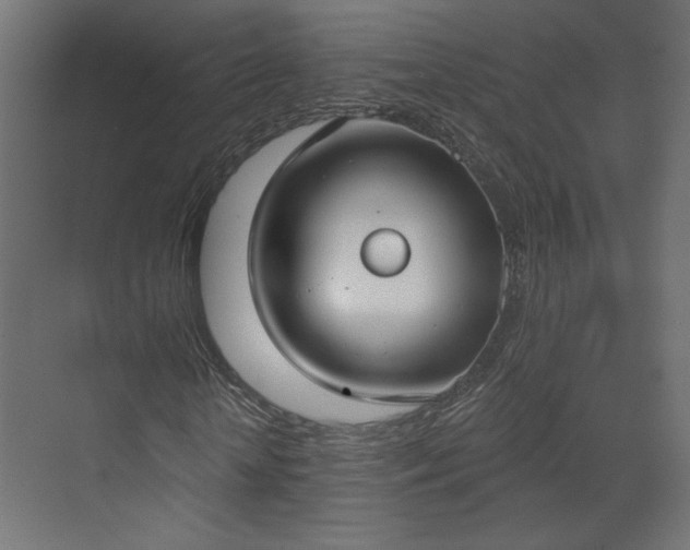 X0000073480818200607311158