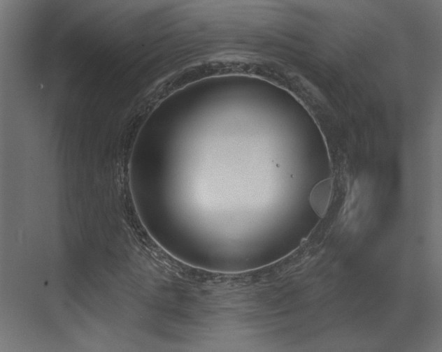 X0000073480821200607311158