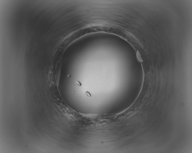 X0000073480822200607311158