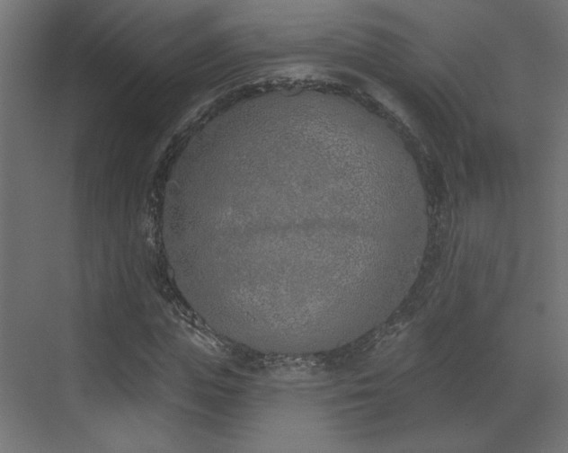 X0000073480823200607311158