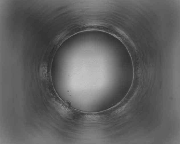 X0000073480825200607311158