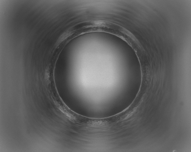 X0000073480826200607311158