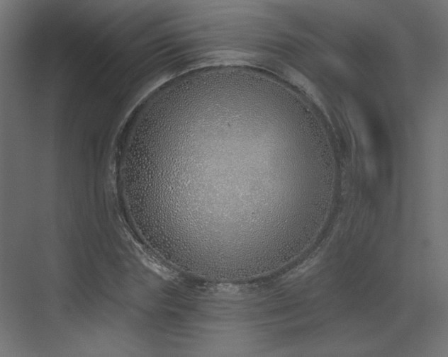 X0000073480827200607311158