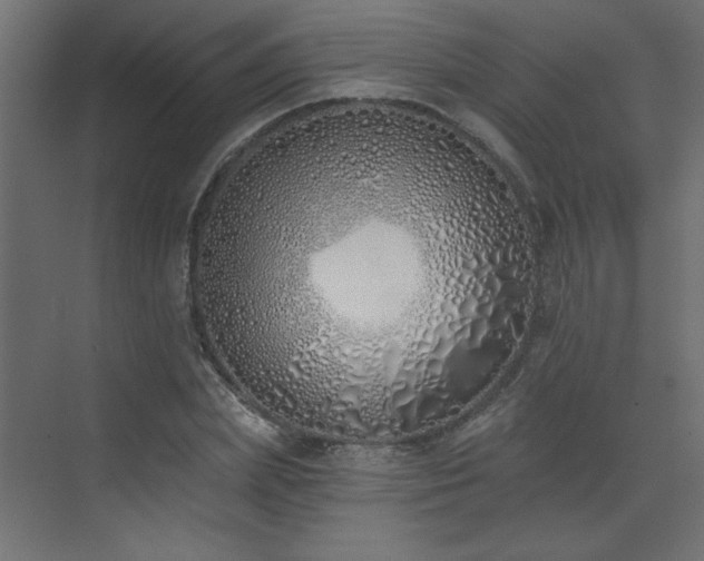 X0000073480831200607311158