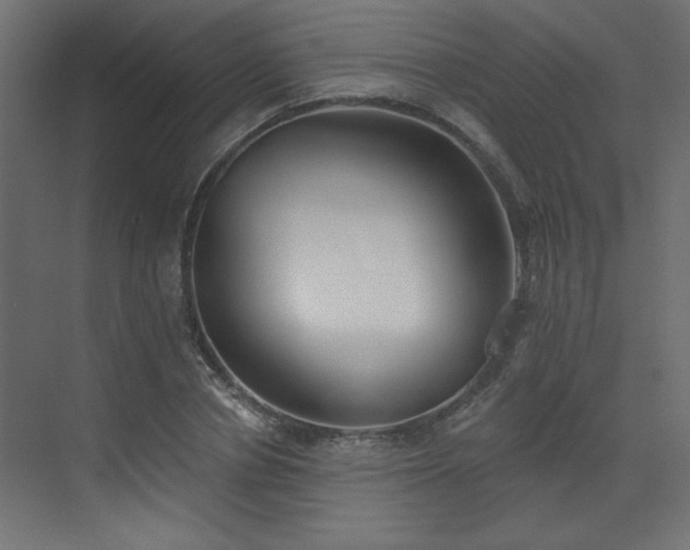 X0000073480834200607311158