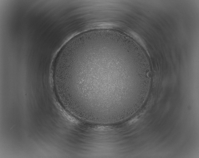 X0000073480835200607311158