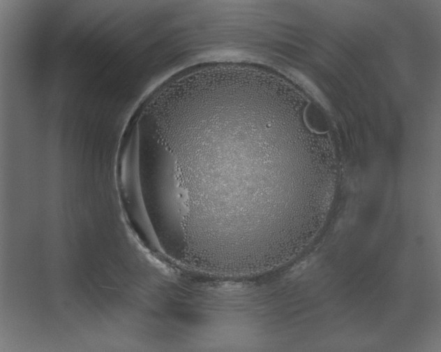 X0000073480839200607311158