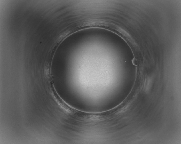 X0000073480841200607311158