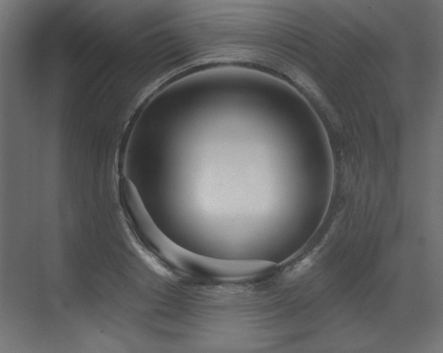 X0000073480842200607311158