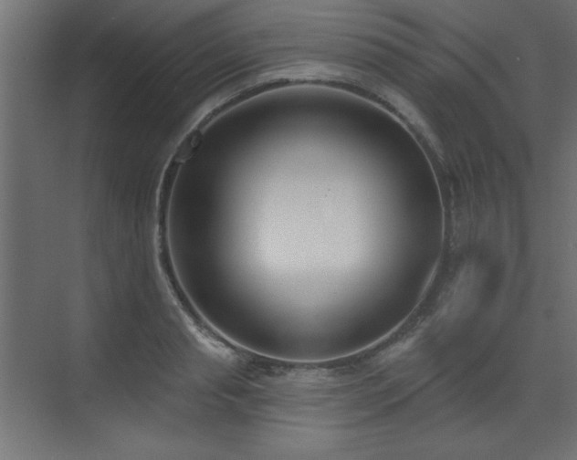 X0000073480845200607311158