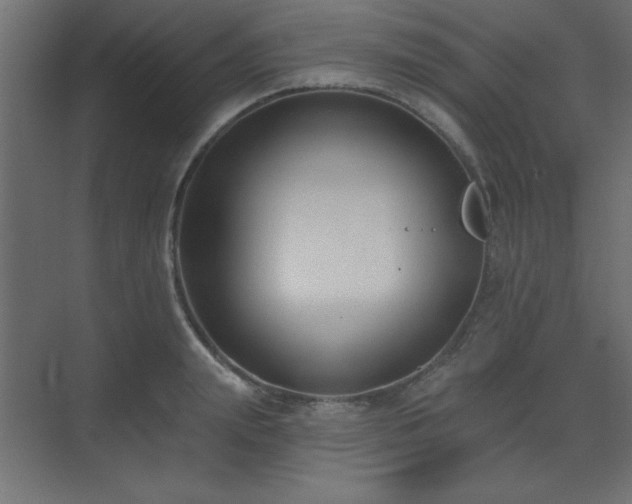 X0000073480847200607311158