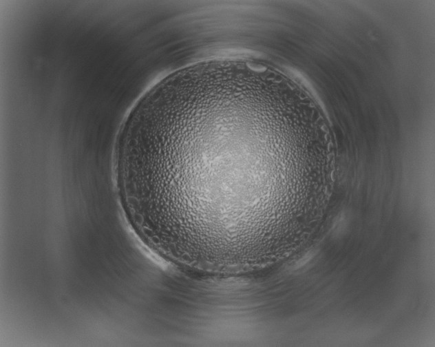 X0000073480851200607311158