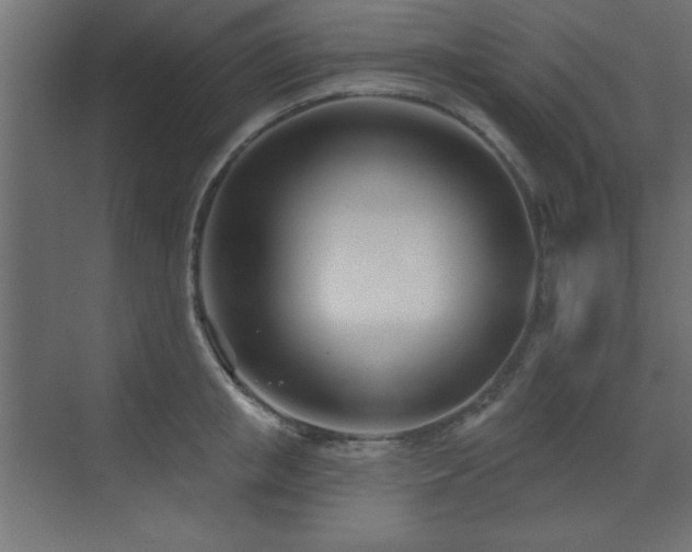 X0000073480853200607311158